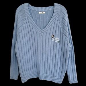 Pacsun Baby Blue Ribbed Knit V Neck Sweater Size S Oversized Preppy Embroidered